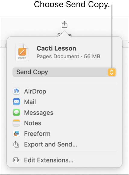 How Do You Send a Pages Document to Email
